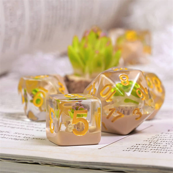 Potted Succulents