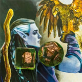 Druids Wild Shape